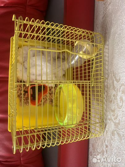 Клетка для хомяка