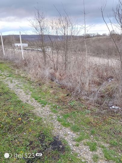 Участок 14,5 сот. (ИЖС)