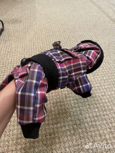 Комбинезон для маленькой собаки