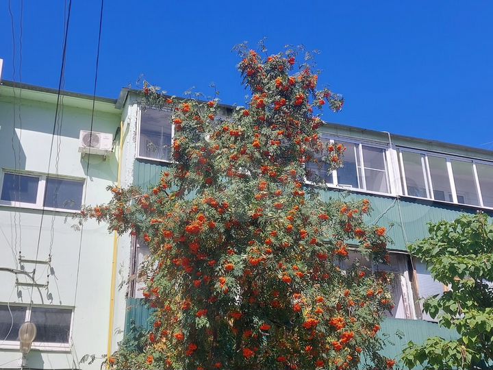 2-к. квартира, 54 м², 3/3 эт.