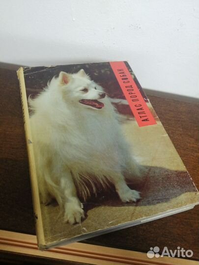 Атлас пород собак