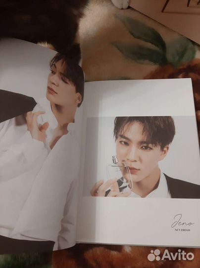 Nct dream diary 2020