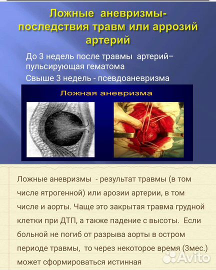 Презентации школа/колледж/универ