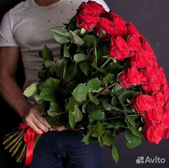 Высокие розы Гигантские розы 110