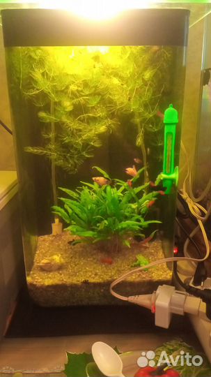 Аквариум 30 л из цельного, толстого стекла 7 мм