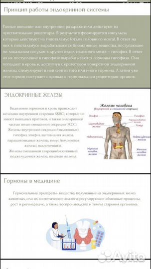Создание презентаций, плакатов, логотипов