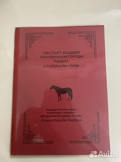 Лошадь жеребец