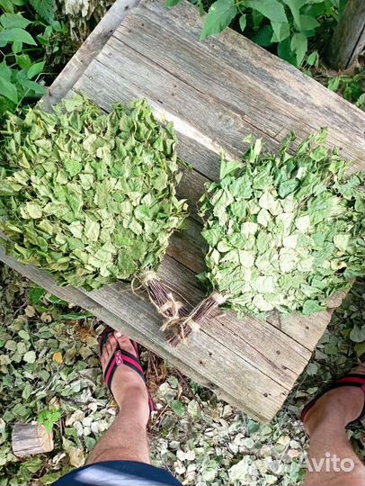 Веники для бани