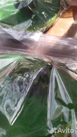 Лягушка для пруда