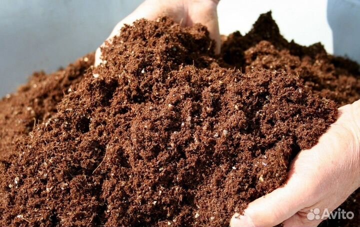 Конский перегной