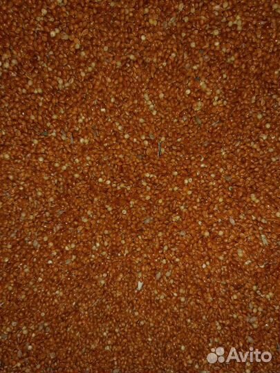 Зерно, зерносмеси для подсобного хозяйства