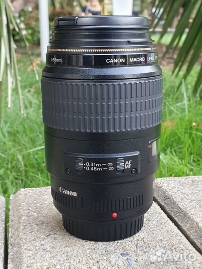 Canon EF 100mm f/2.8 Macro USM