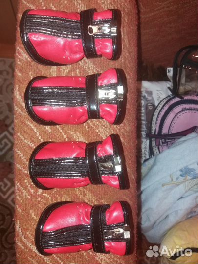 Ботиночки для собачки