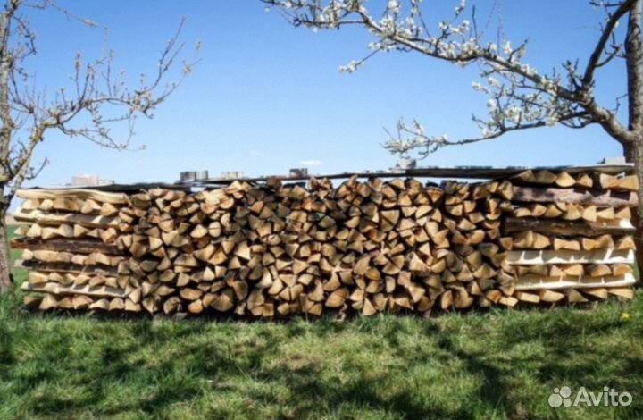 Дрова дубовые
