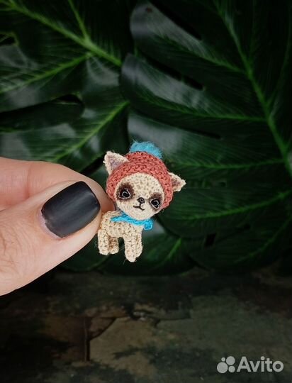 Микро щеночек. Забронирован