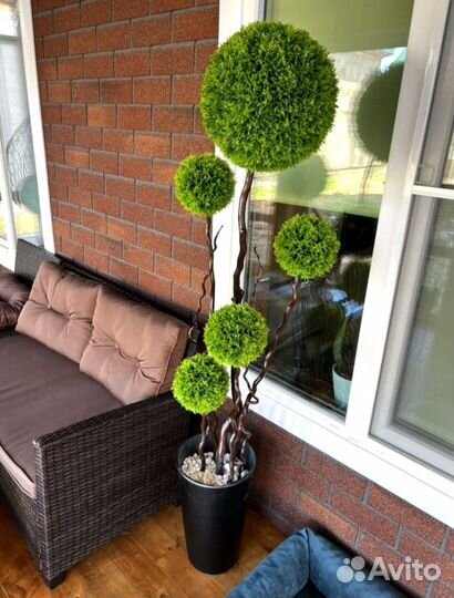 Самшиты искуственные 10-12 см