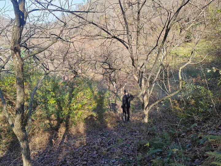 Участок 12 сот. (СНТ, ДНП)