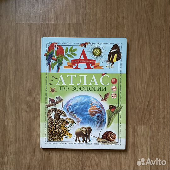 Детская энциклопедия