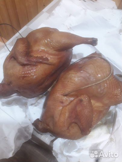 Домашние куры бройлеры