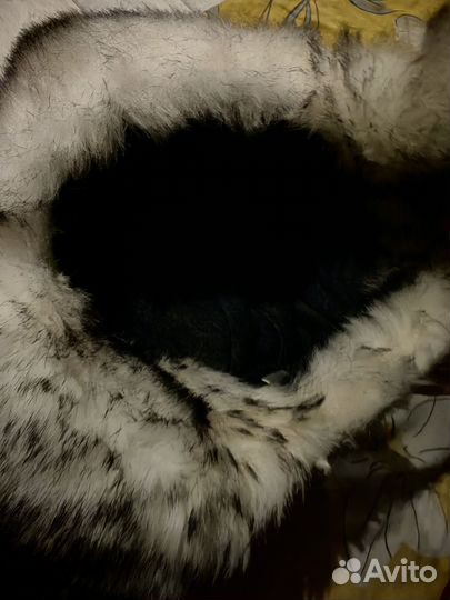 Детская шапка для мальчика зимняя 52