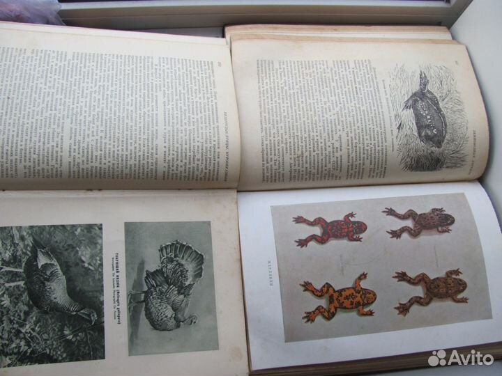 Брэм А.Э.Жизнь животных в 2-х томах 1930 года