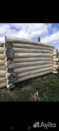 Продам баню из липы