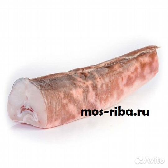 Рыба Конгрио свежемороженая