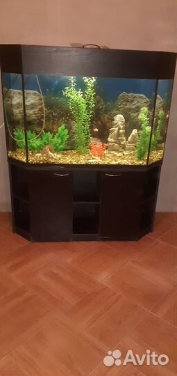 Аквариум с тумбой 240 литров