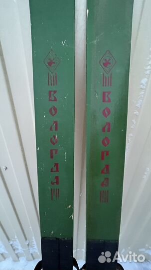 Лыжи охотничьи