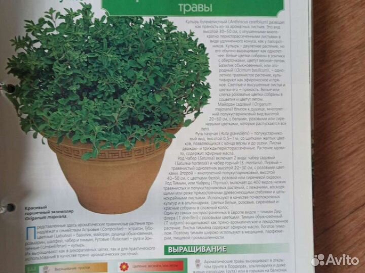 Книги о комнатных и садовых растениях