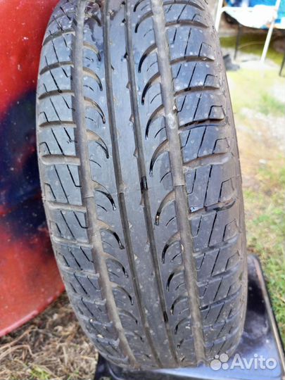 Tunga Tunga 14/60 R14