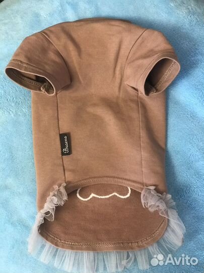 Одежда для маленьких пород собак