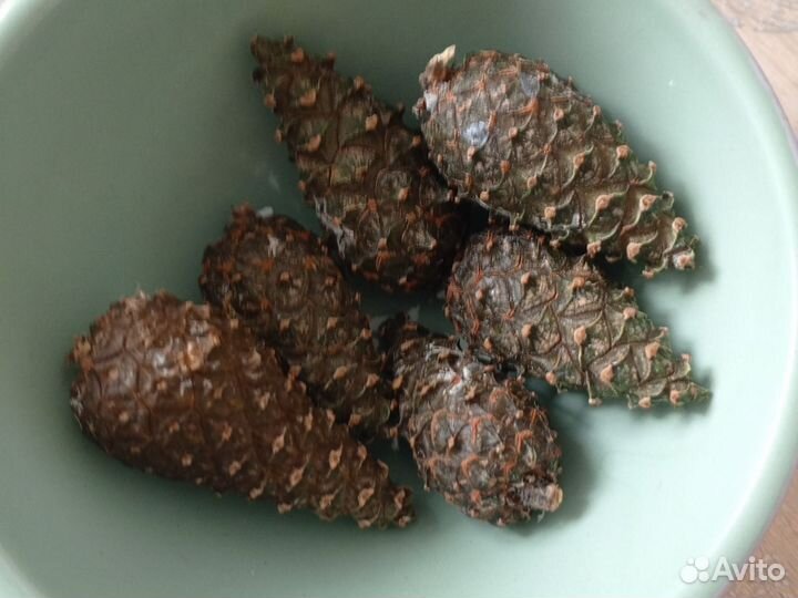 Шишки сосновые