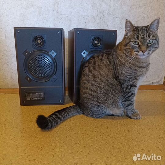 Колонки Радиотехника Radiotehnika 6 aс-221 СССР