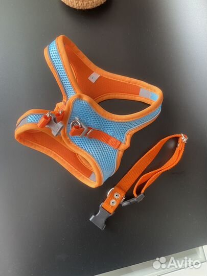 Шлейка для собаки