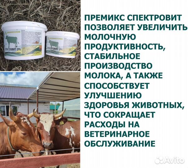 Премикс для раздоя крс