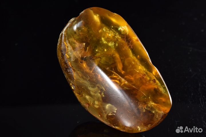 Янтарь с включениями растений (инклюз). Лот №755