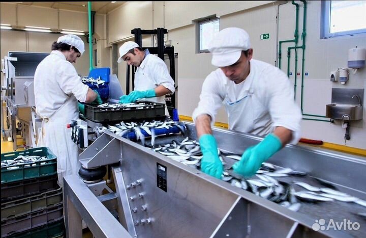 Требуются разнорабочие на производство(вахтовый ме