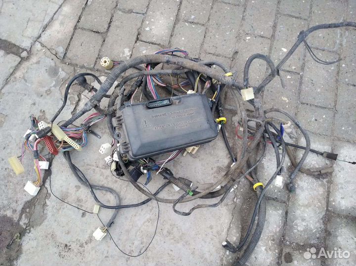 Жгут основной