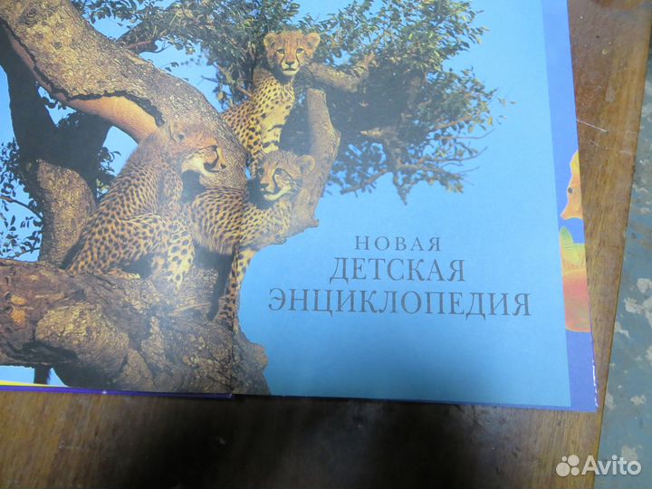 Детская энциклопедия и золотые сказки