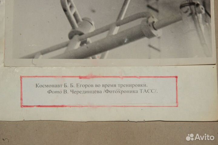 Фото космонавт Егоров фотохр.тасс.1963 г.-ф.Черди