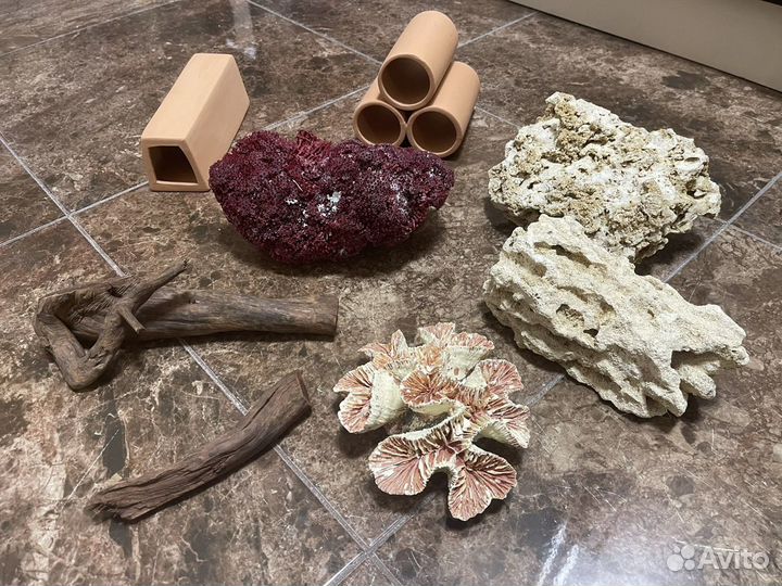 Кораллы и декорации