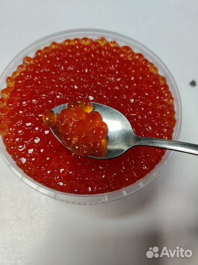 Продам икру красную