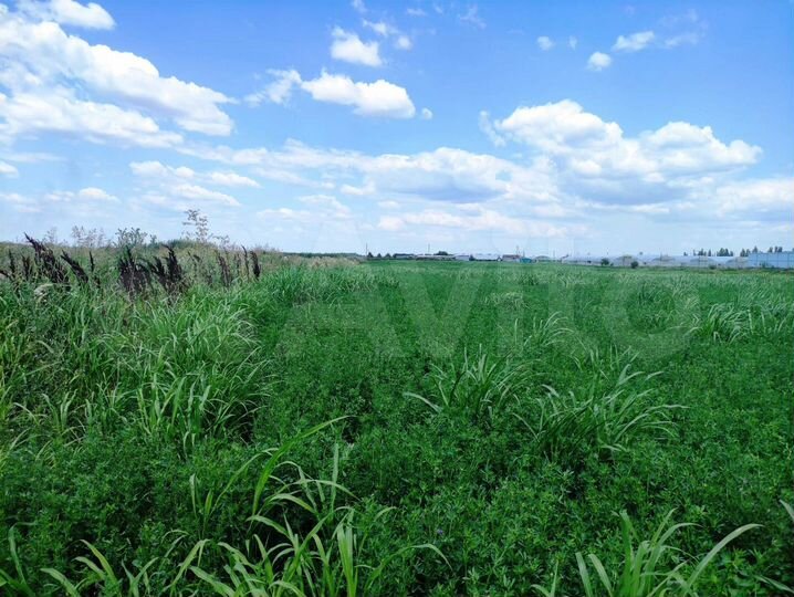 Участок 4 га (ИЖС)