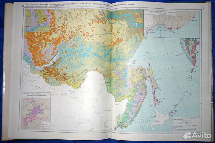 Атлас ареалов лекарственных растений СССР