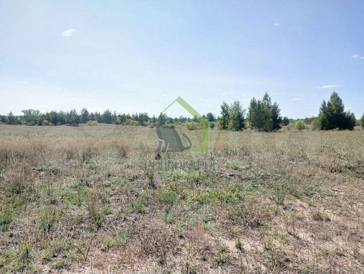 Участок 4,6 га (СНТ, ДНП)