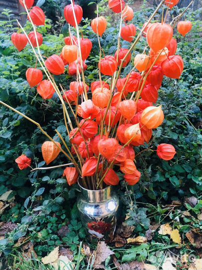 Китайский фонарик