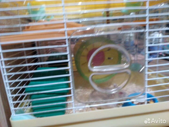 Клетка для грызунов