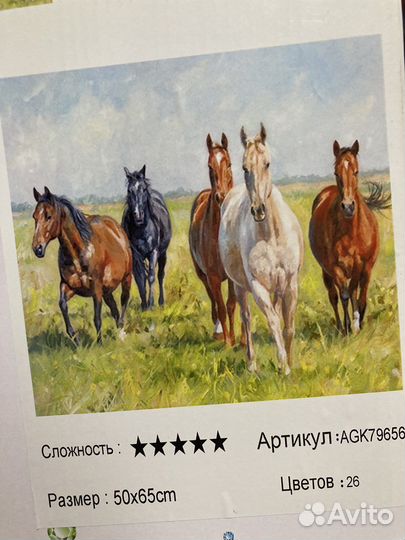 Алмазная мозайка новая 50x65 см