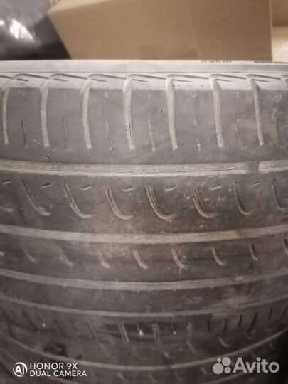 Pirelli Dragon 205/55 R16 91V